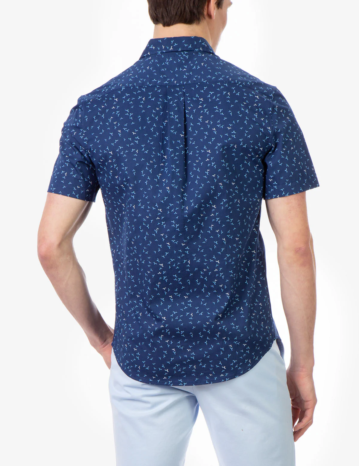 BIRD PATTERN POPLIN SHORT SLEEVE SHIRT - Image 4