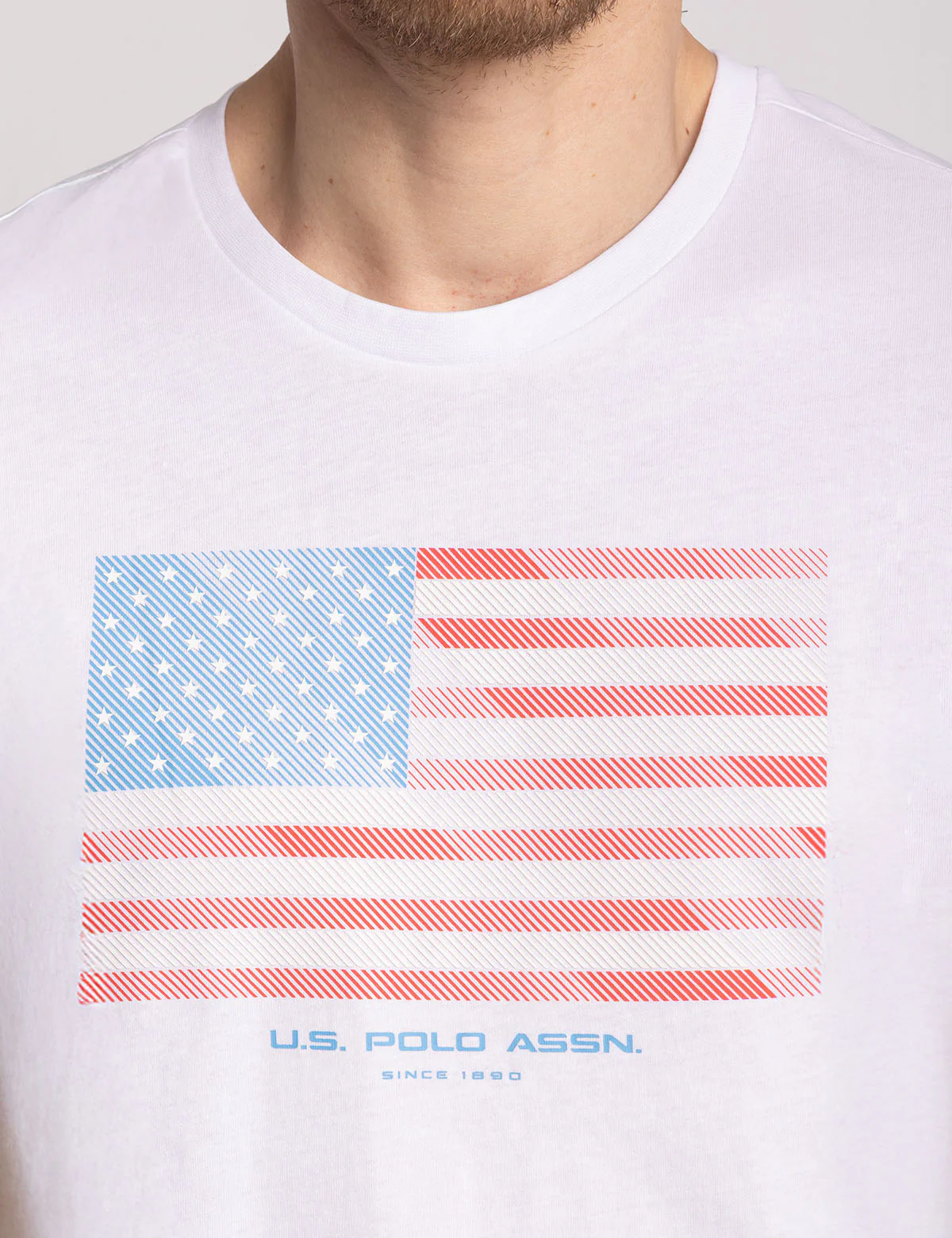 DIAGONAL STRIPES FLAG GRAPHIC T-SHIRT - Image 3