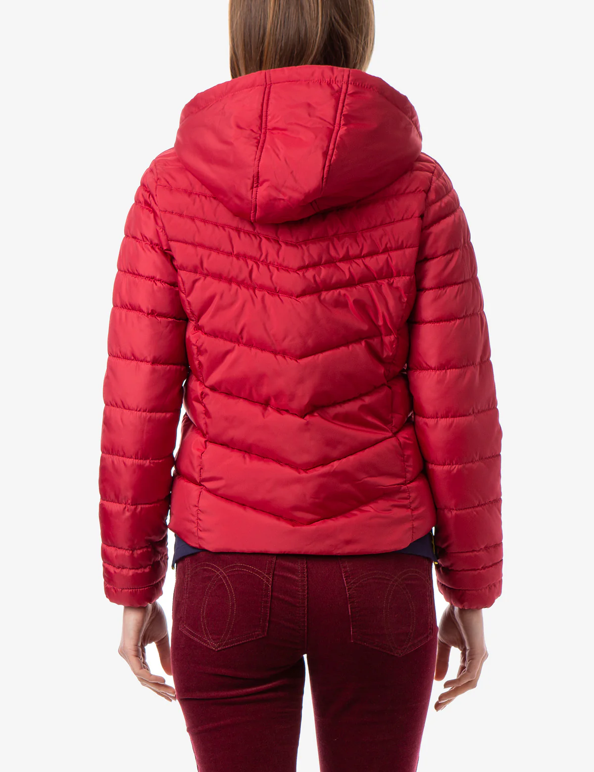 MOTO JACKET - Image 5