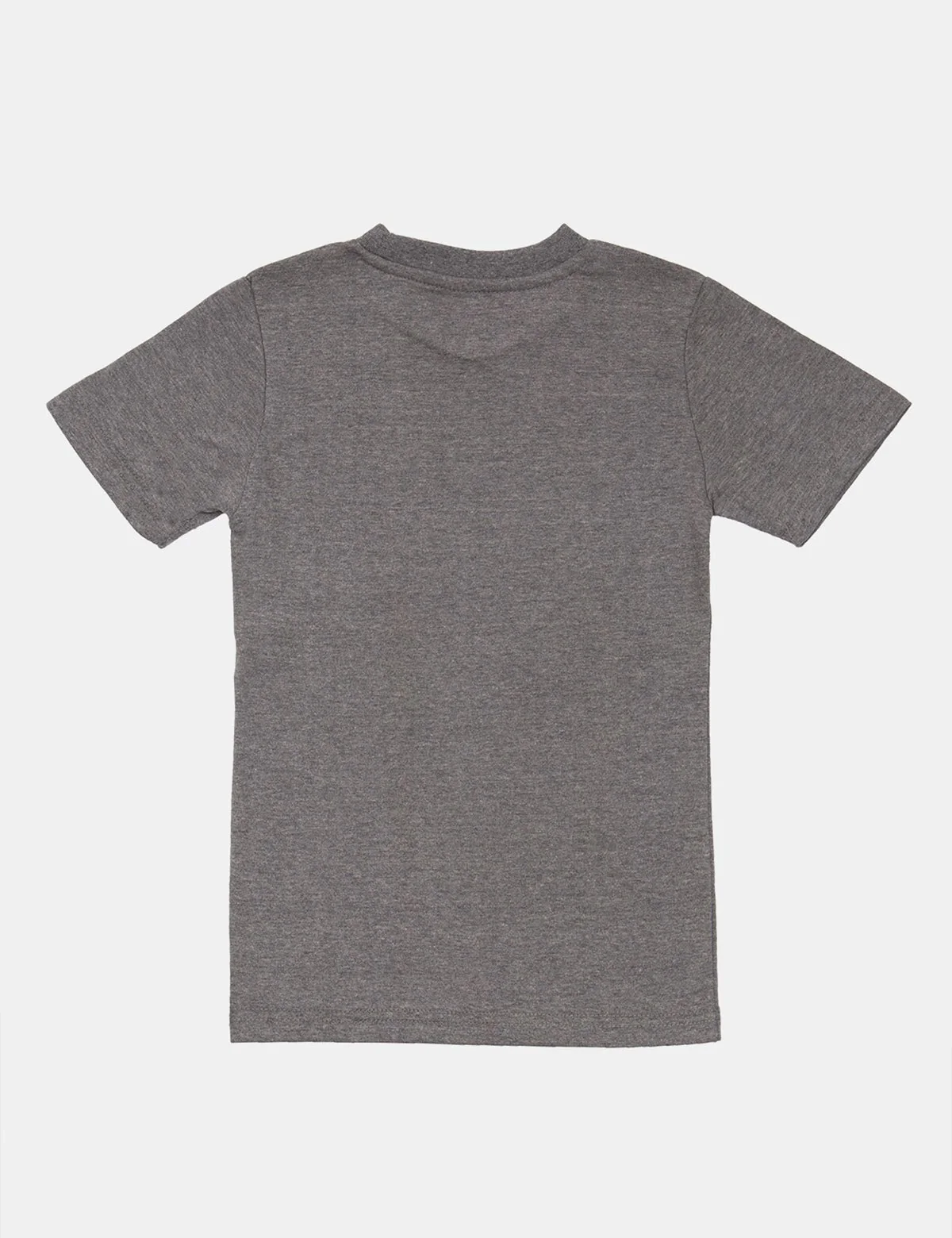TEAM USPA FLAG T-SHIRT - Image 5